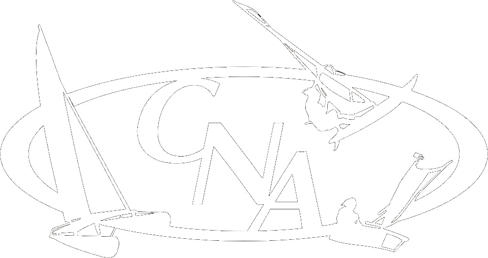 logo cnasp noir fond transparent